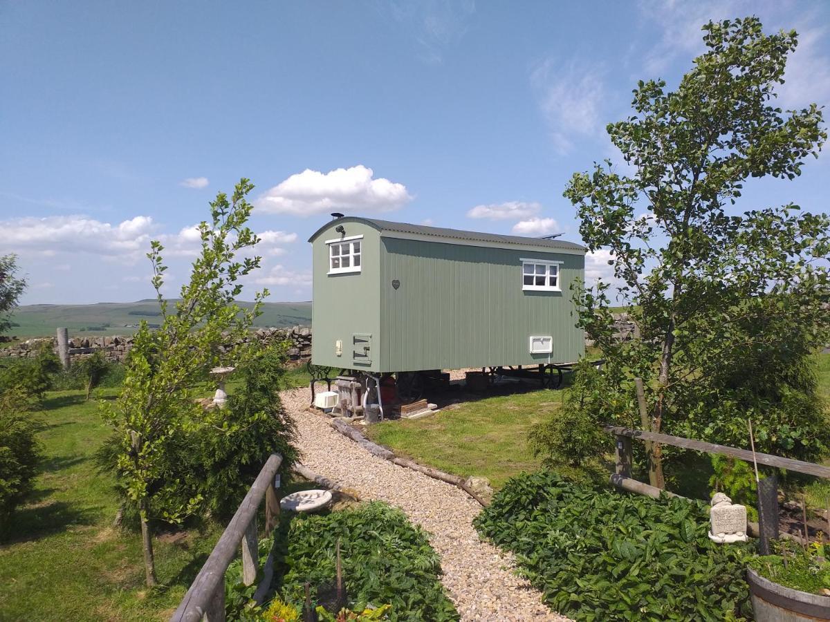 The Buteland Stop Rosie Off Grid Shepherds Hut Bellingham Ngoại thất bức ảnh