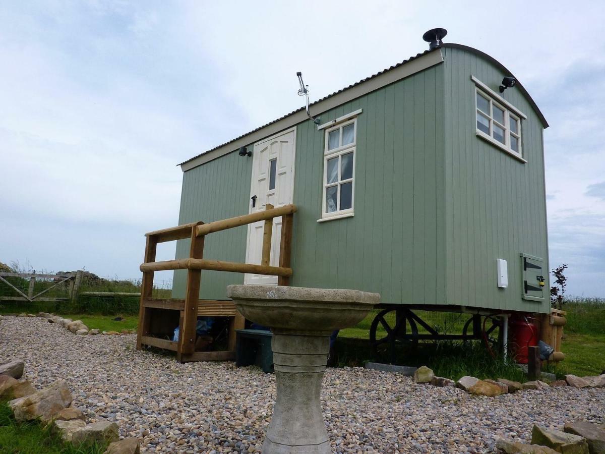 The Buteland Stop Rosie Off Grid Shepherds Hut Bellingham Ngoại thất bức ảnh