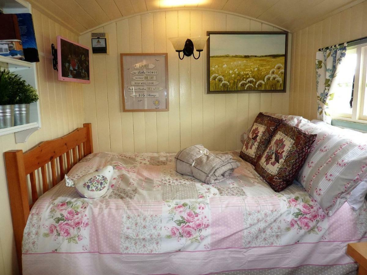 The Buteland Stop Rosie Off Grid Shepherds Hut Bellingham Ngoại thất bức ảnh