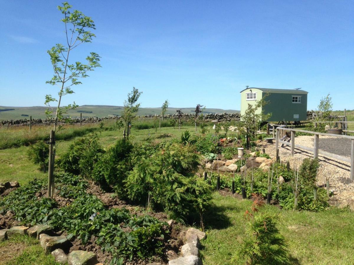 The Buteland Stop Rosie Off Grid Shepherds Hut Bellingham Ngoại thất bức ảnh