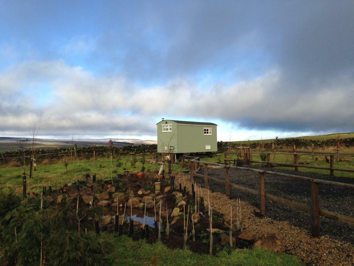 The Buteland Stop Rosie Off Grid Shepherds Hut Bellingham Ngoại thất bức ảnh