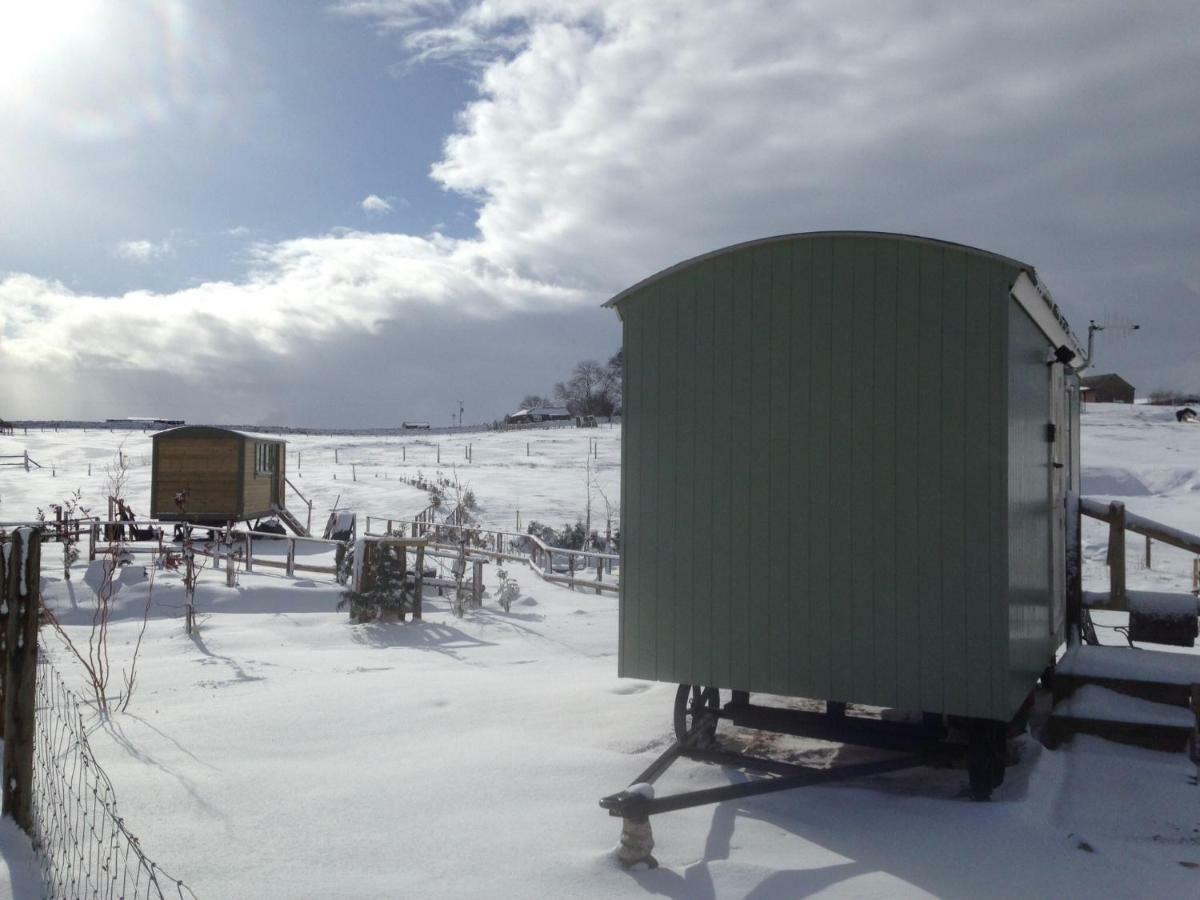 The Buteland Stop Rosie Off Grid Shepherds Hut Bellingham Ngoại thất bức ảnh