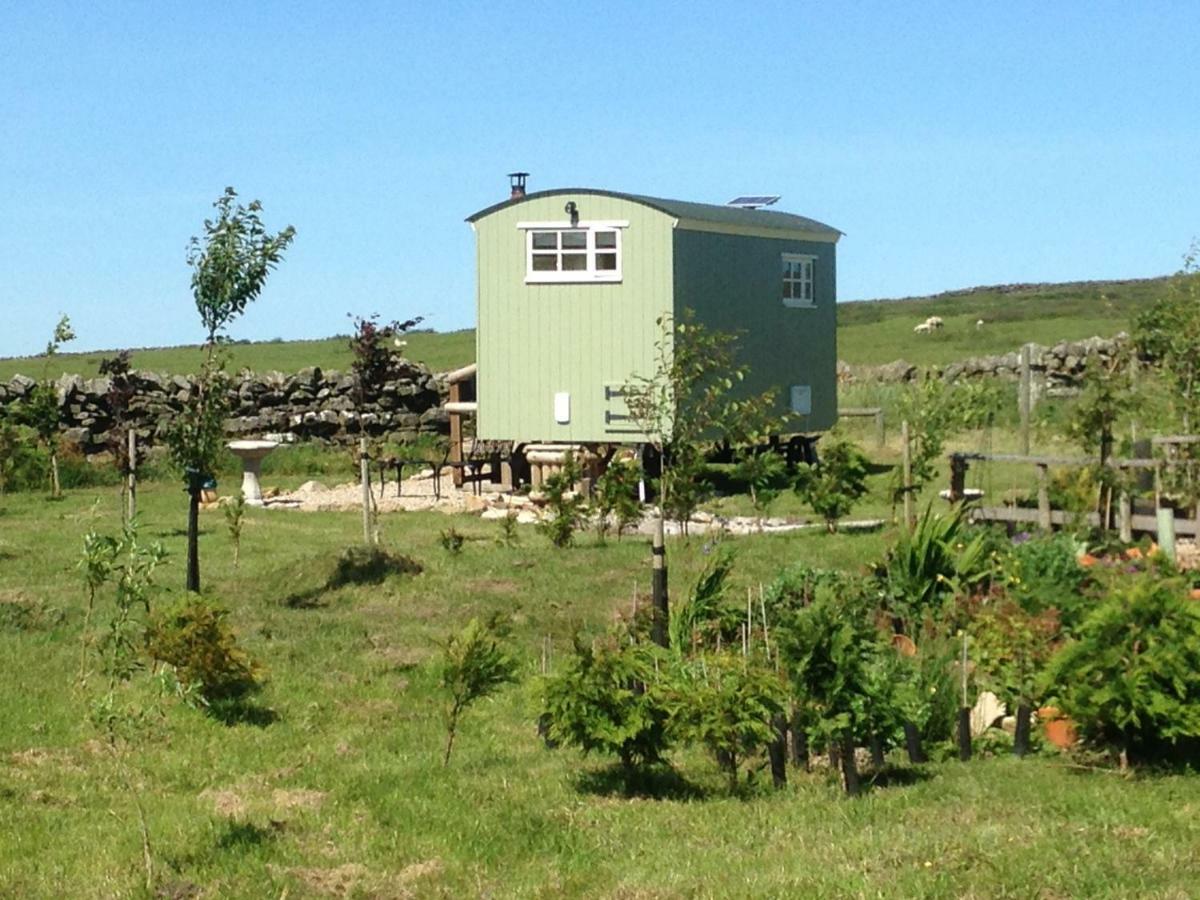 The Buteland Stop Rosie Off Grid Shepherds Hut Bellingham Ngoại thất bức ảnh
