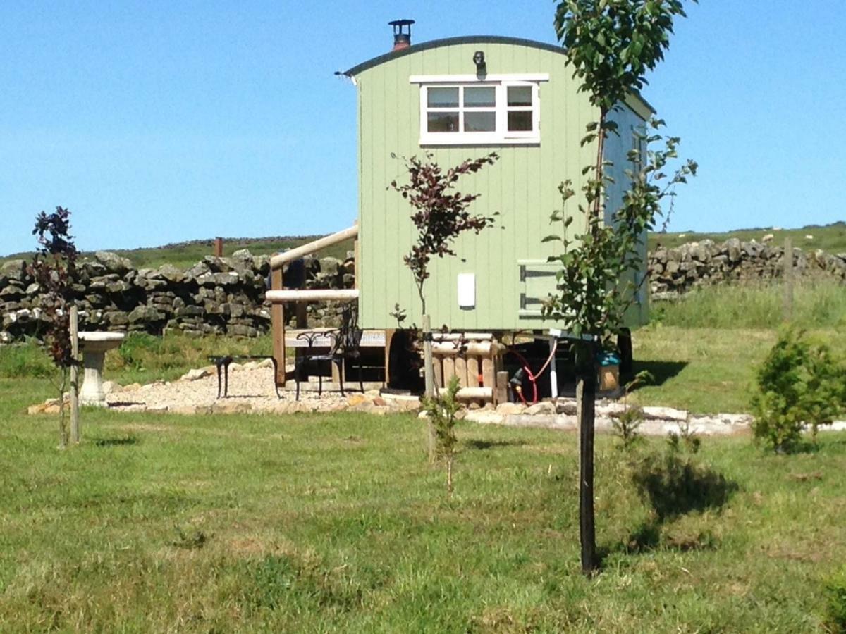 The Buteland Stop Rosie Off Grid Shepherds Hut Bellingham Ngoại thất bức ảnh